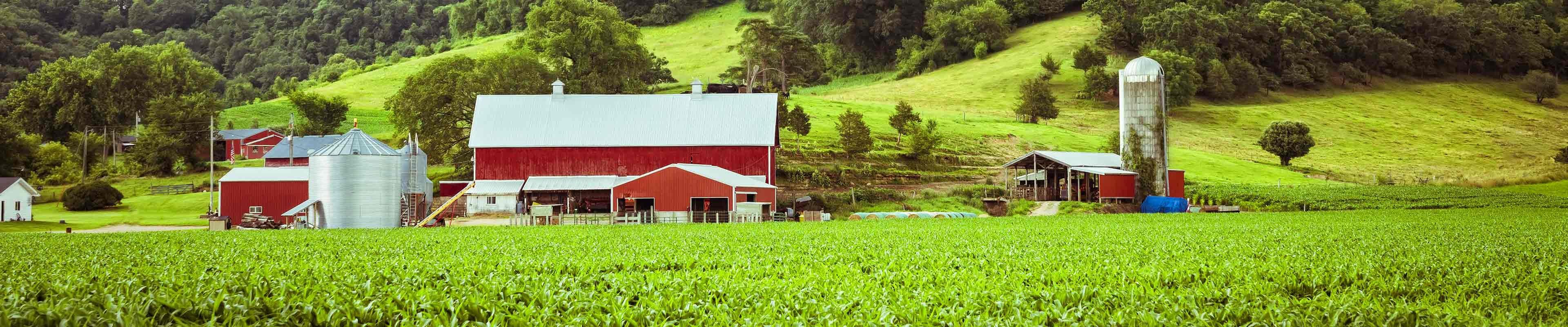 Image of a farm with barns, silos and sheds.