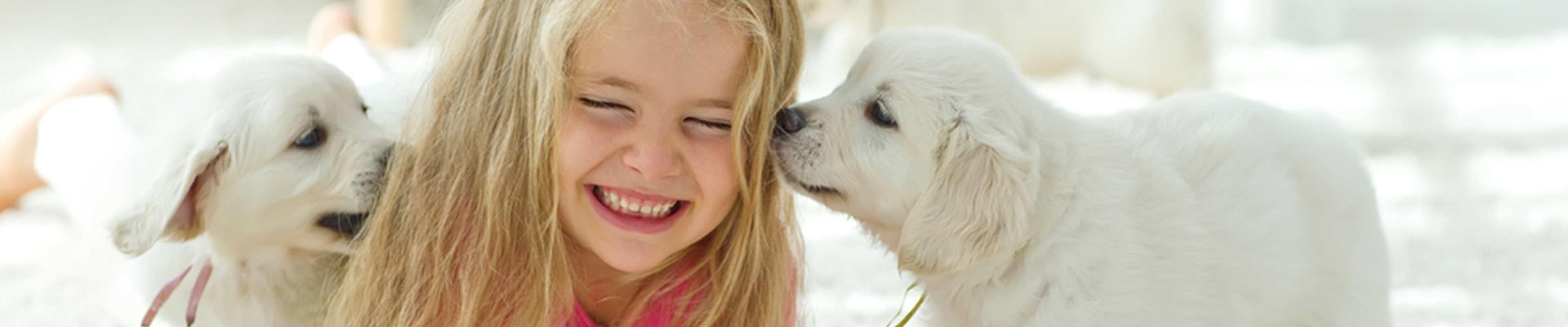 Image of a girl playing with two puppies.